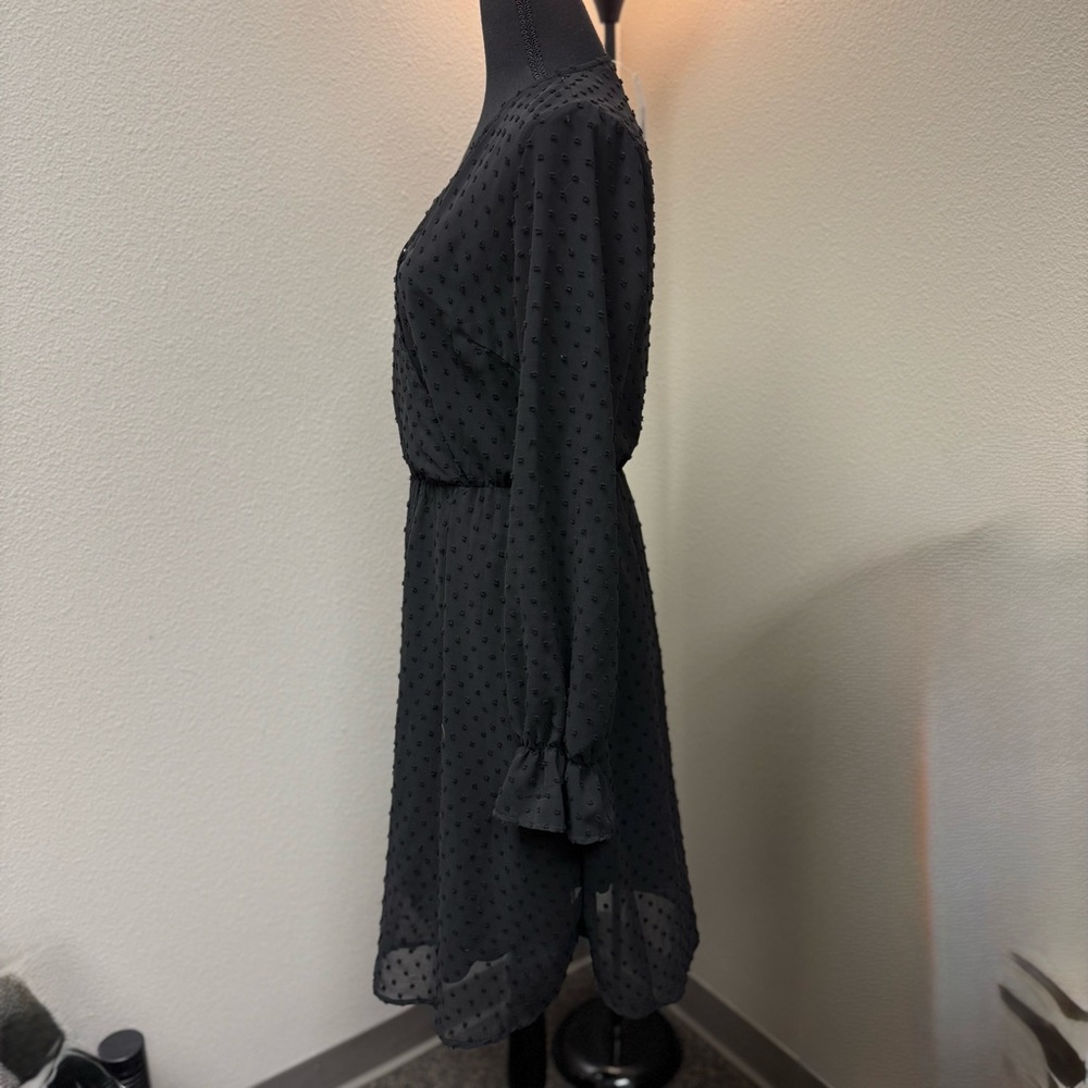 NWT Black Swiss Dot Chiffon Dress. - Picture 3 of 5